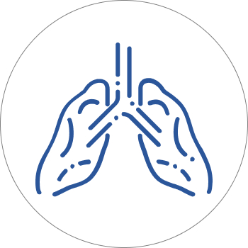 SMOKERS PANEL - BASIC